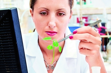 Все, чего ты не знаешь о ГМО