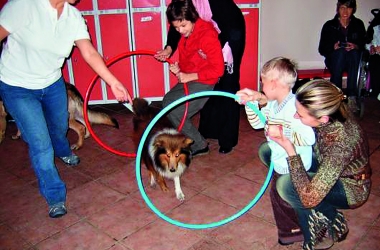 20 фактов о зоотерапии