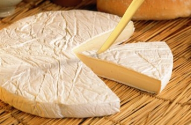 Сыр как перекус: полезные свойства продукта