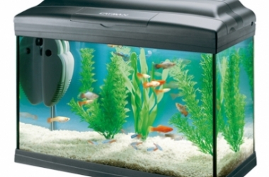 Как выжить в офисе без стен и перегородок?