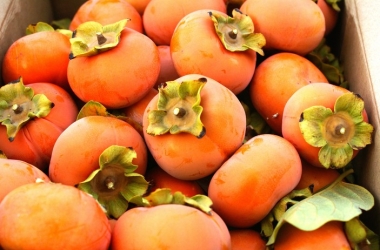 Чем полезна хурма: 10 полезных свойств королька