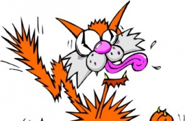 Как самостоятельно справиться с неврозом