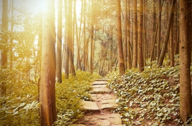 Простой тест о том, какой ты видишь свою жизнь на самом деле