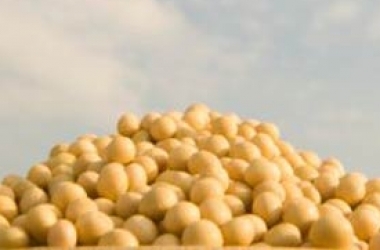 Продукти, які вбивають сексуальне бажання