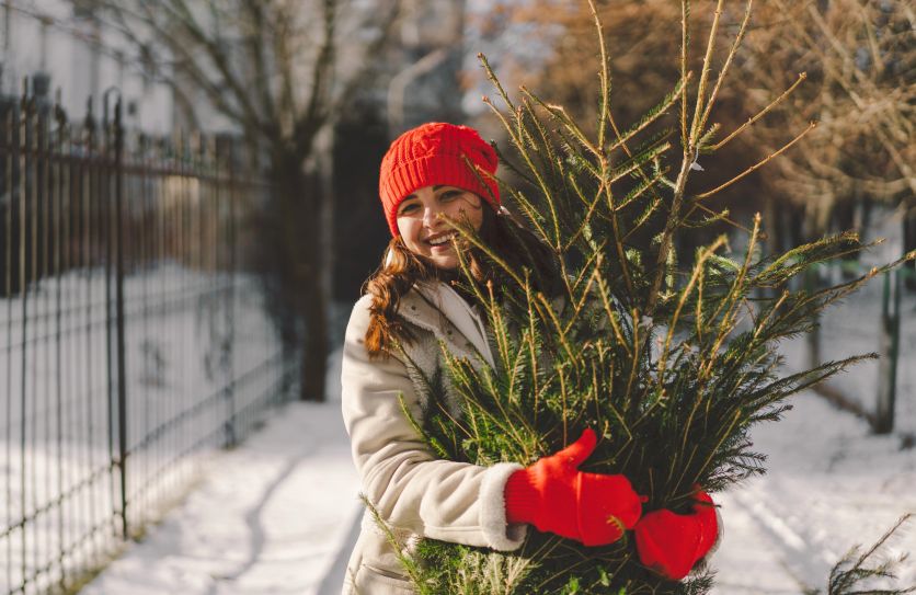 Таро-прогноз на декабрь