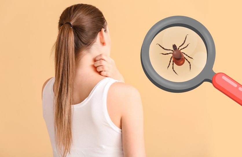 Сезон кліщів