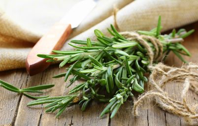 Розмарин для похудения