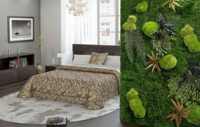 Охота на мох