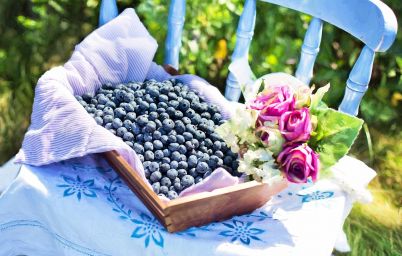 6 причин, почему стоит добавить чернику в свой рацион