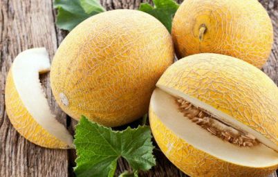 Полезные свойства дыни