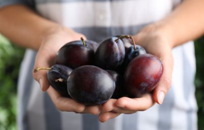 Польза слив