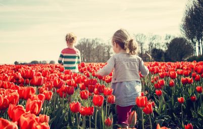 Гороскоп на сегодня