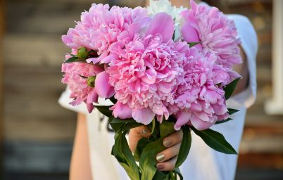 Гороскоп на сегодня