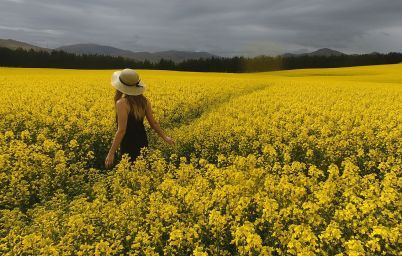 Гороскоп на сегодня