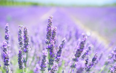 Гороскоп на сегодня