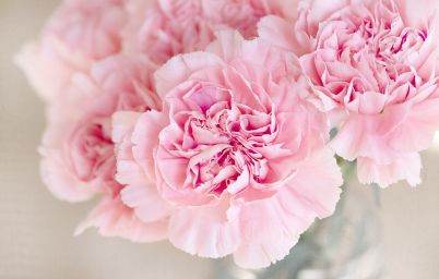 Гороскоп на сегодня