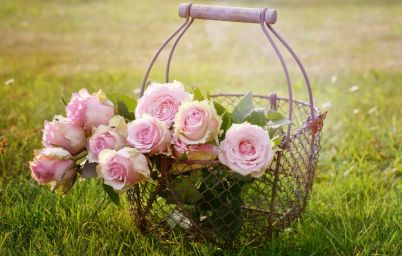 Гороскоп на сегодня