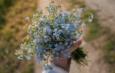 Гороскоп на сегодня