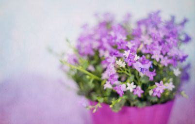 Гороскоп на сегодня