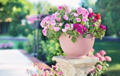 Гороскоп на сегодня