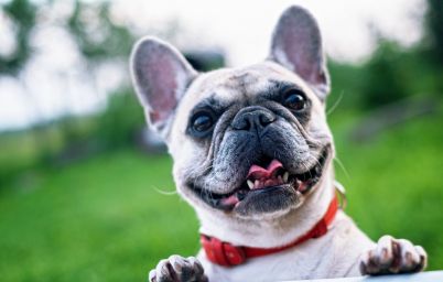 Гороскоп на сегодня