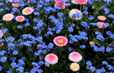 Гороскоп на сегодня