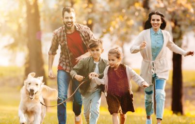 Ворміл Фіто