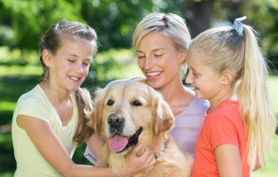 Ворміл Фіто