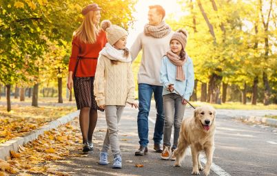 Ворміл Фіто