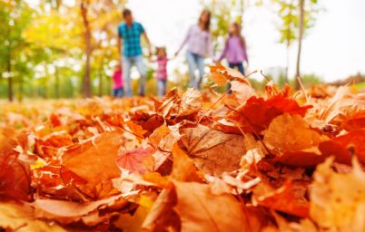 Гороскоп на сегодня