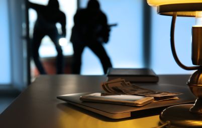 крадії і мародери