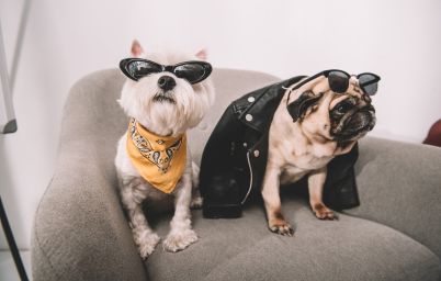 програма безкоштовної вакцинації