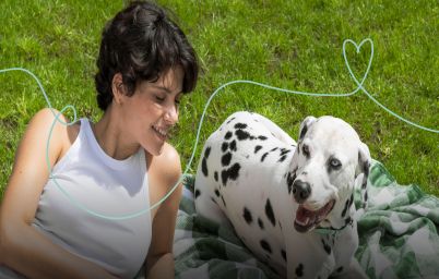 Забота о животных в летний сезон с Optimeal