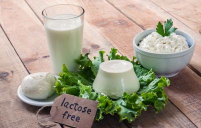 Безлактозная диета