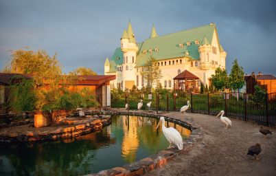 Заміський Парк тварин “ХІІ Місяців”