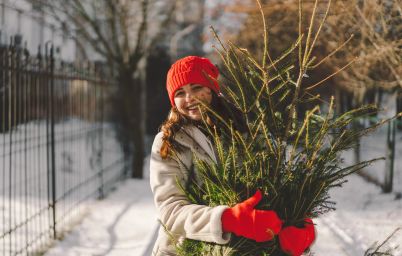 Таро-прогноз на декабрь