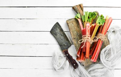 Забытая польза ревеня