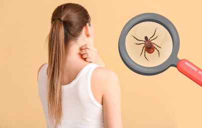 Сезон кліщів