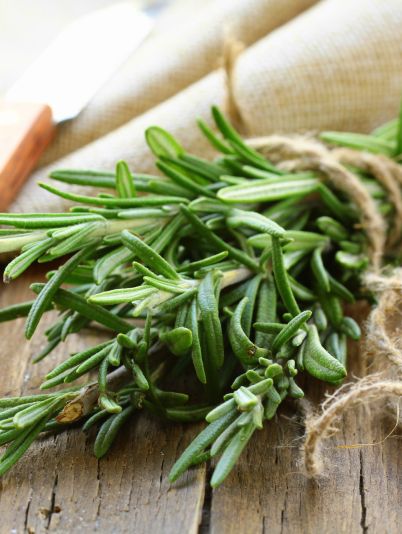 Розмарин для похудения