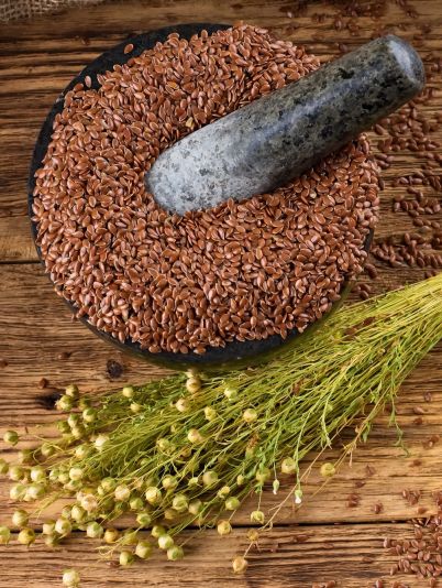 семена льна