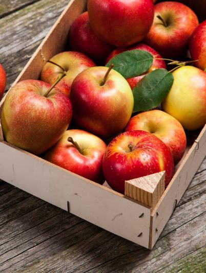 5 привычных нам продуктов, которые запрещены во многих странах мира