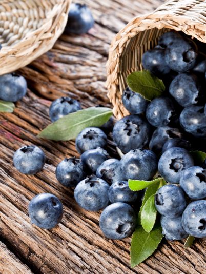 Антисептик