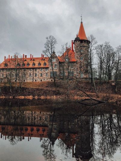 Коронавирус страны Балтии