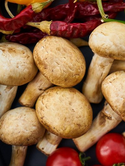 Грибная диета