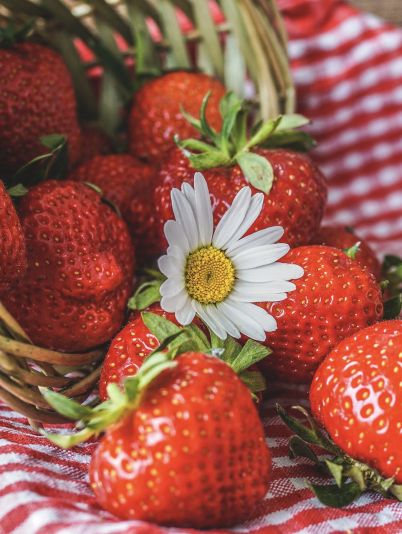 Летний уход за лицом и волосами
