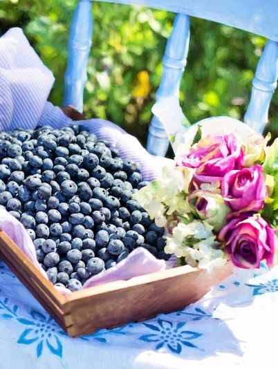 6 причин, почему стоит добавить чернику в свой рацион