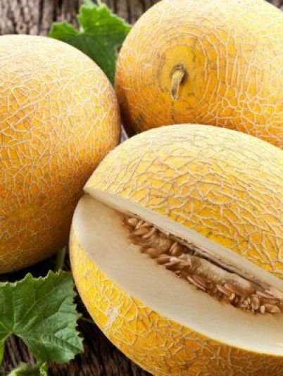 Полезные свойства дыни