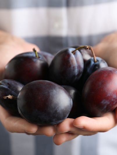 Польза слив