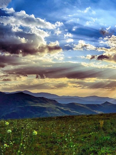 Гороскоп на сегодня