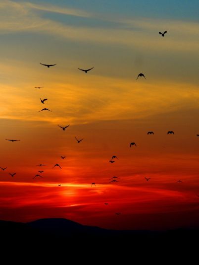 Гороскоп на сегодня